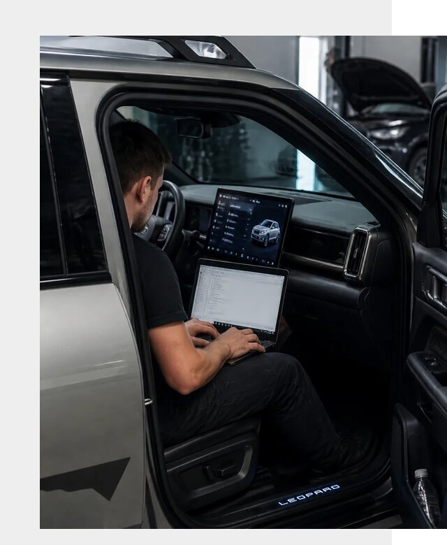 Русификация BYD Leopard 3 в Мурманске по цене от 20461 р. | ФастМобиль-Мрм